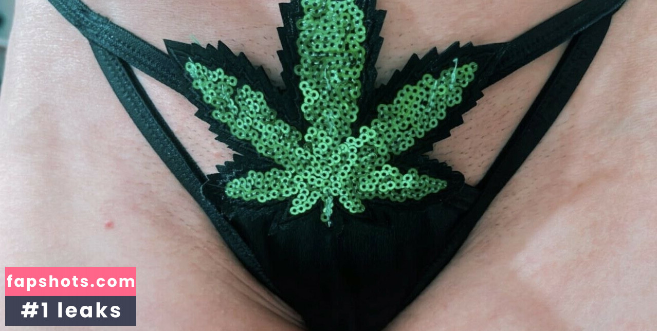 la.elfo gallery photo #37