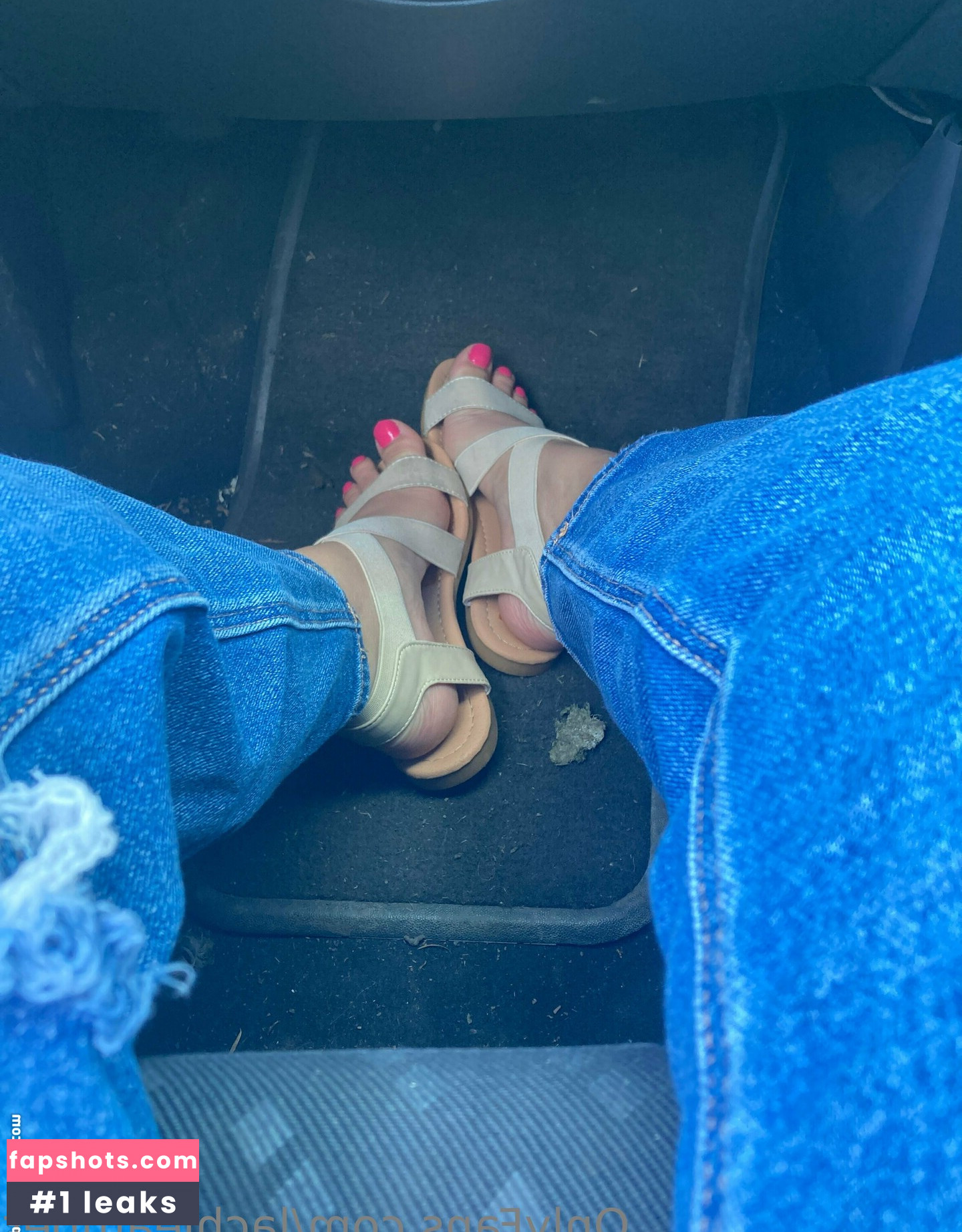 lachleamber gallery photo #2