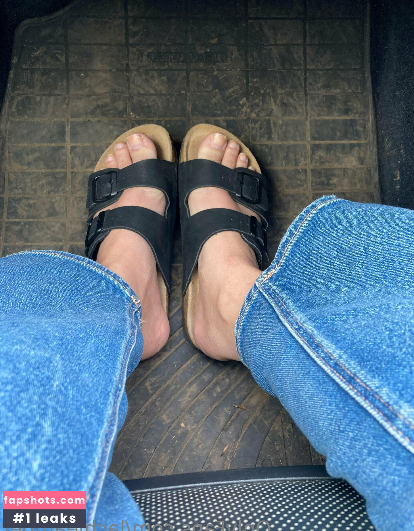 lachleamber gallery photo #12