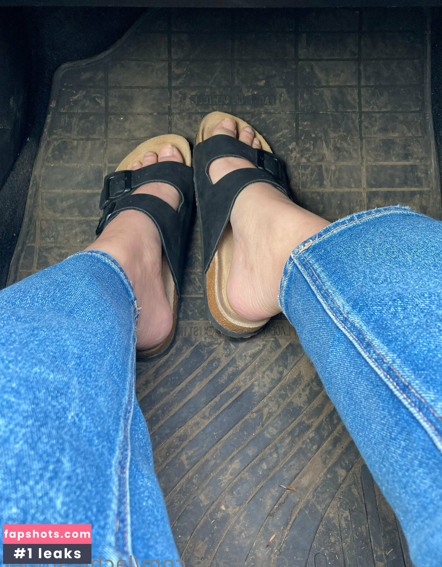 lachleamber gallery photo #14