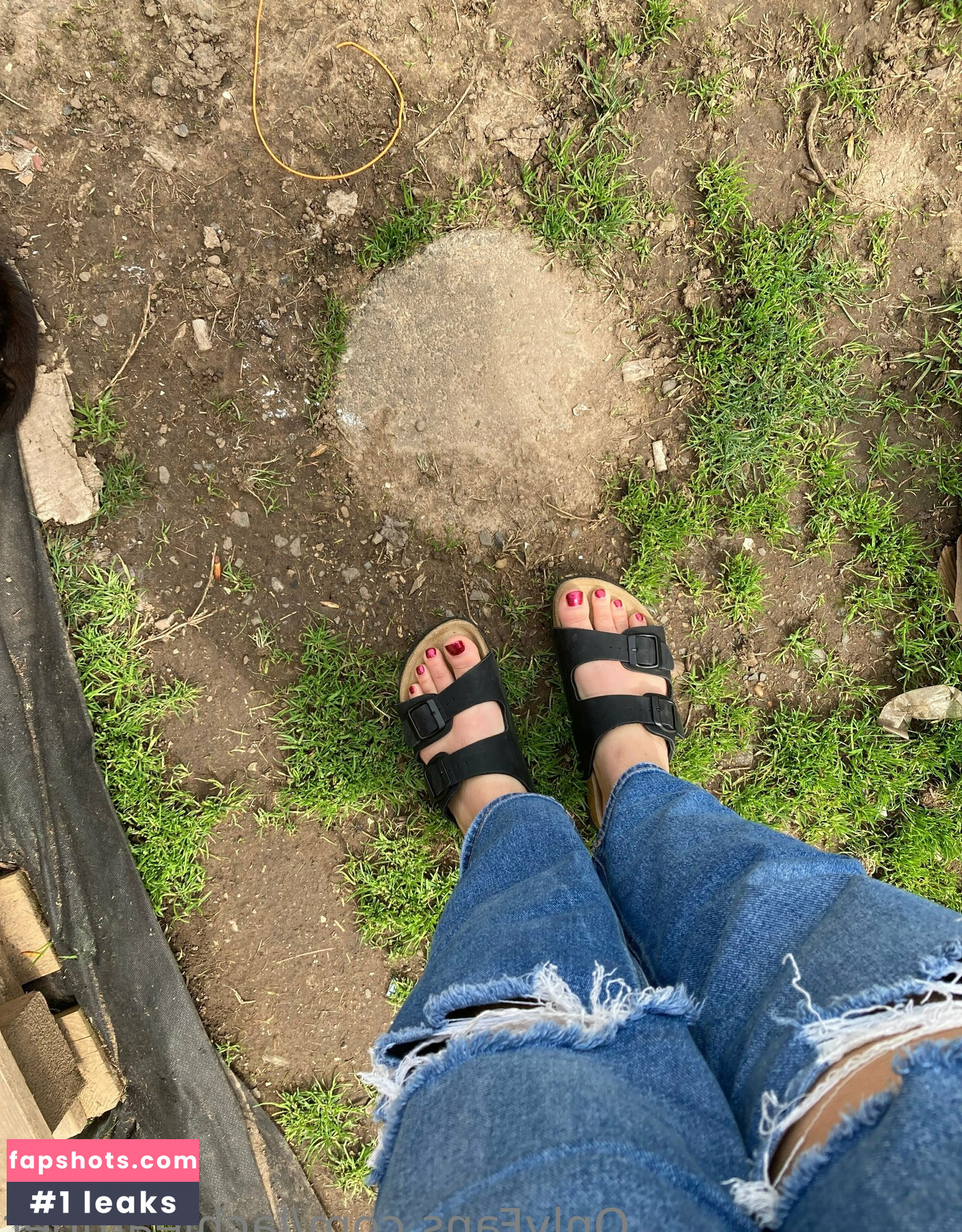 lachleamber gallery photo #22