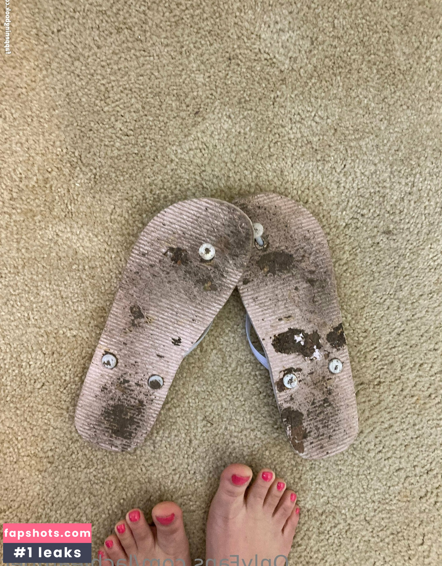 lachleamber gallery photo #23