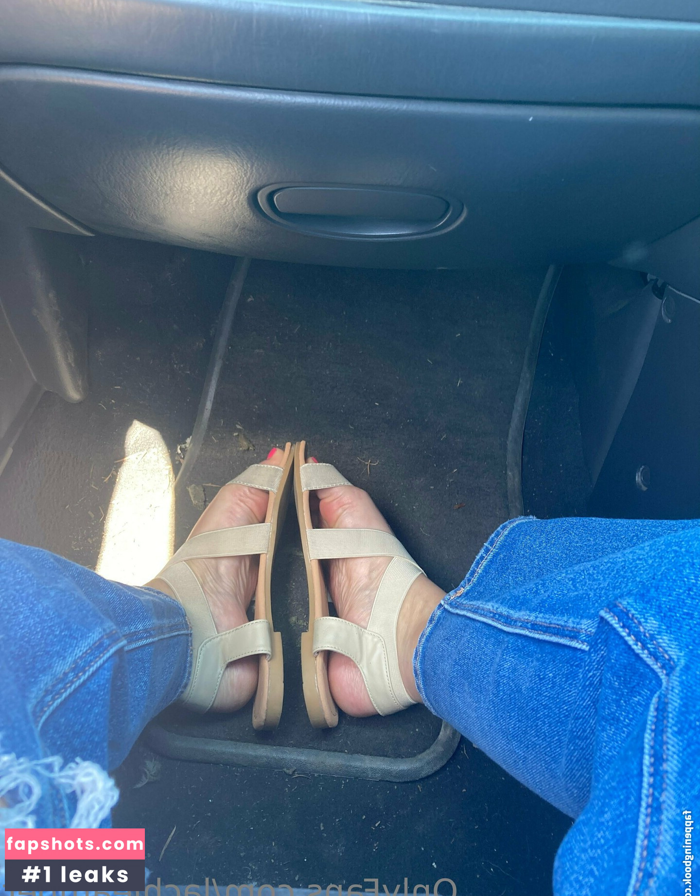 lachleamber gallery photo #27