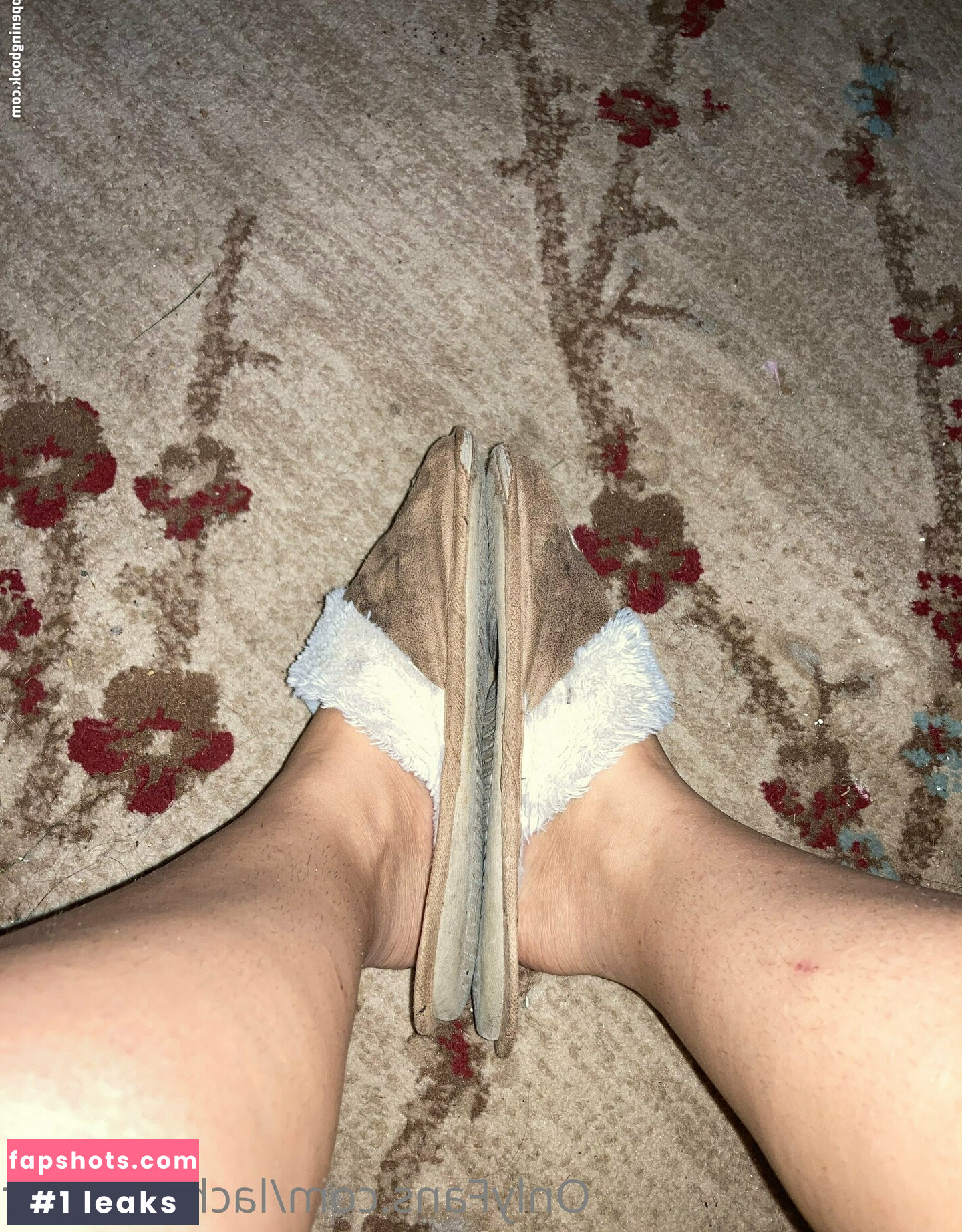 lachleamber gallery photo #35