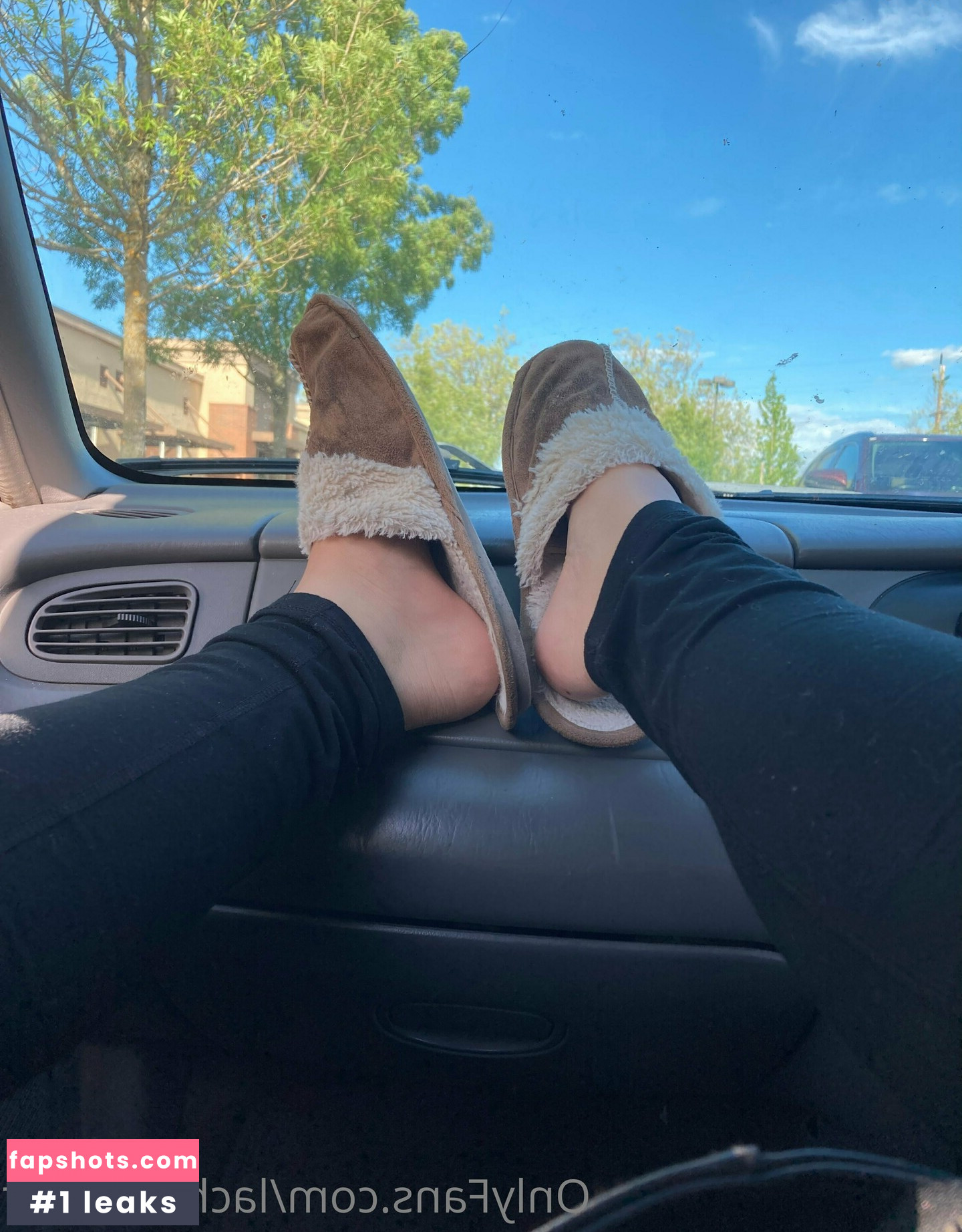 lachleamber gallery photo #42