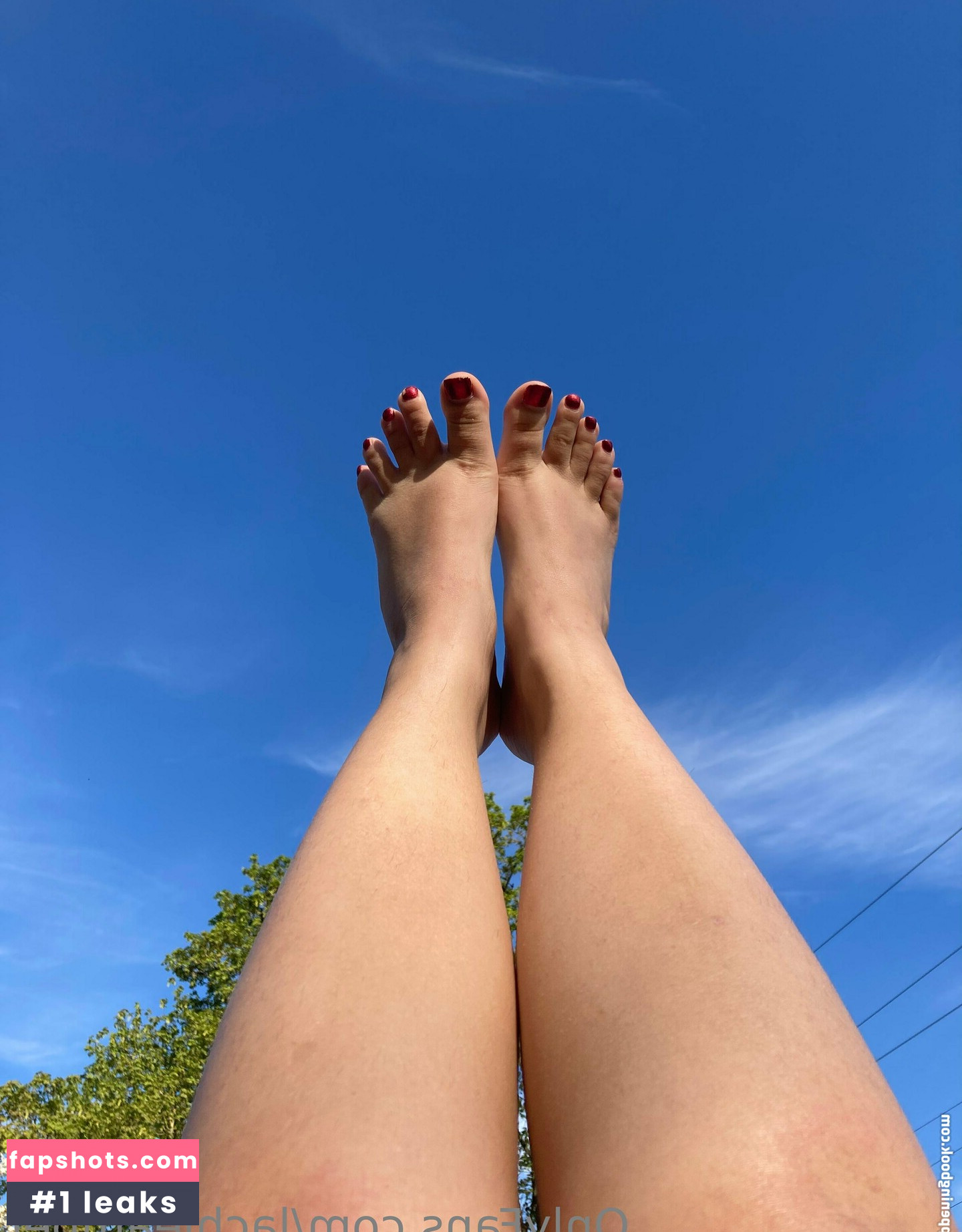 lachleamber gallery photo #8