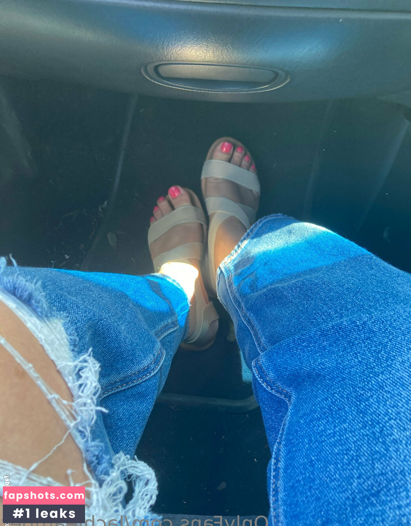 lachleamber gallery photo #9