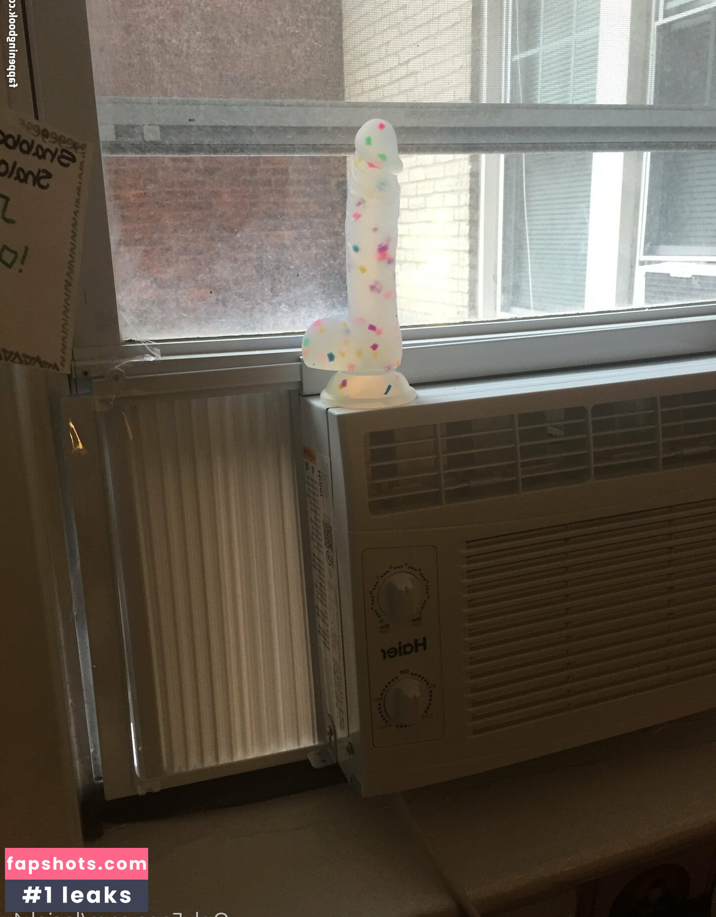 laciek4x gallery photo #6