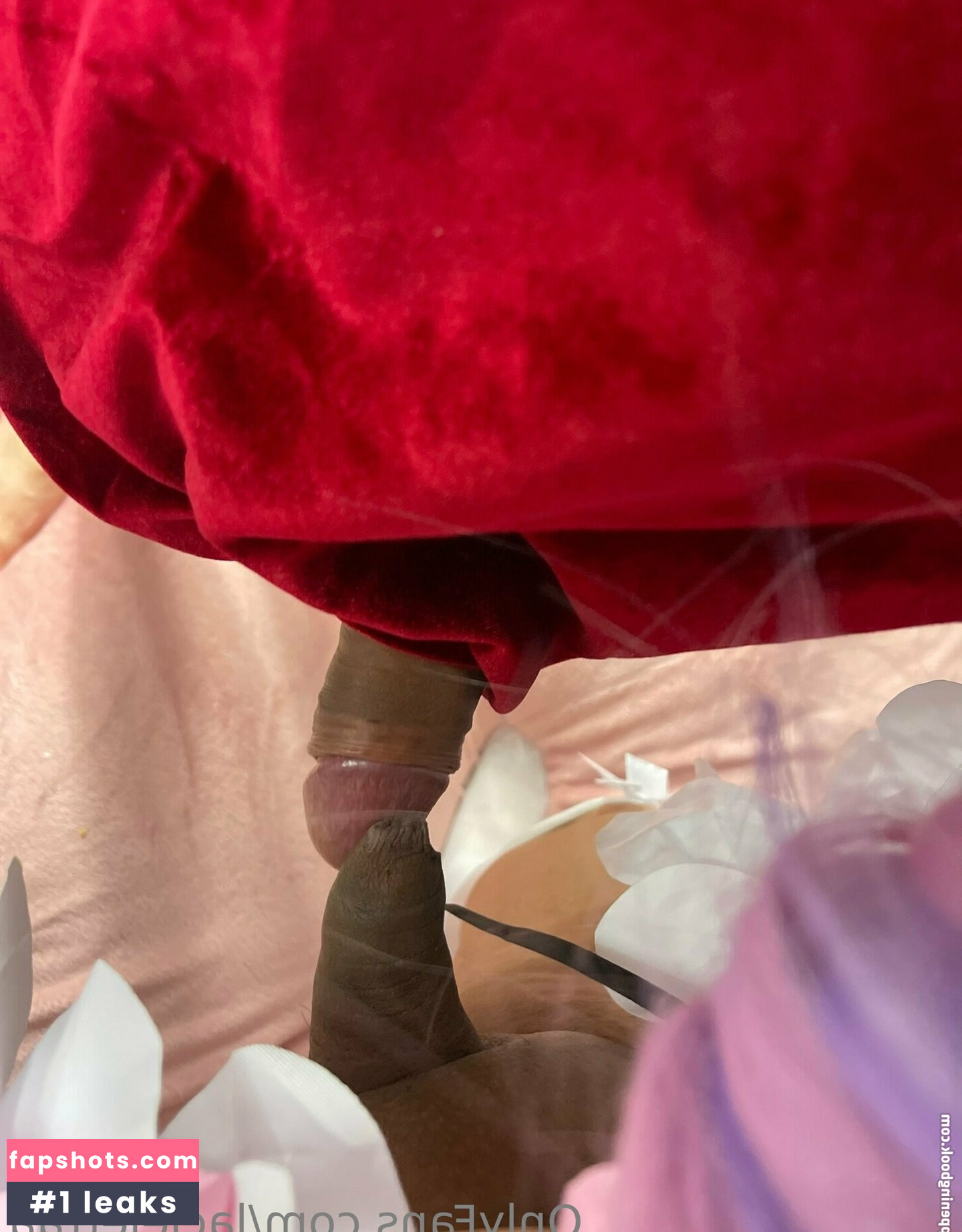 lacielettaa gallery photo #9