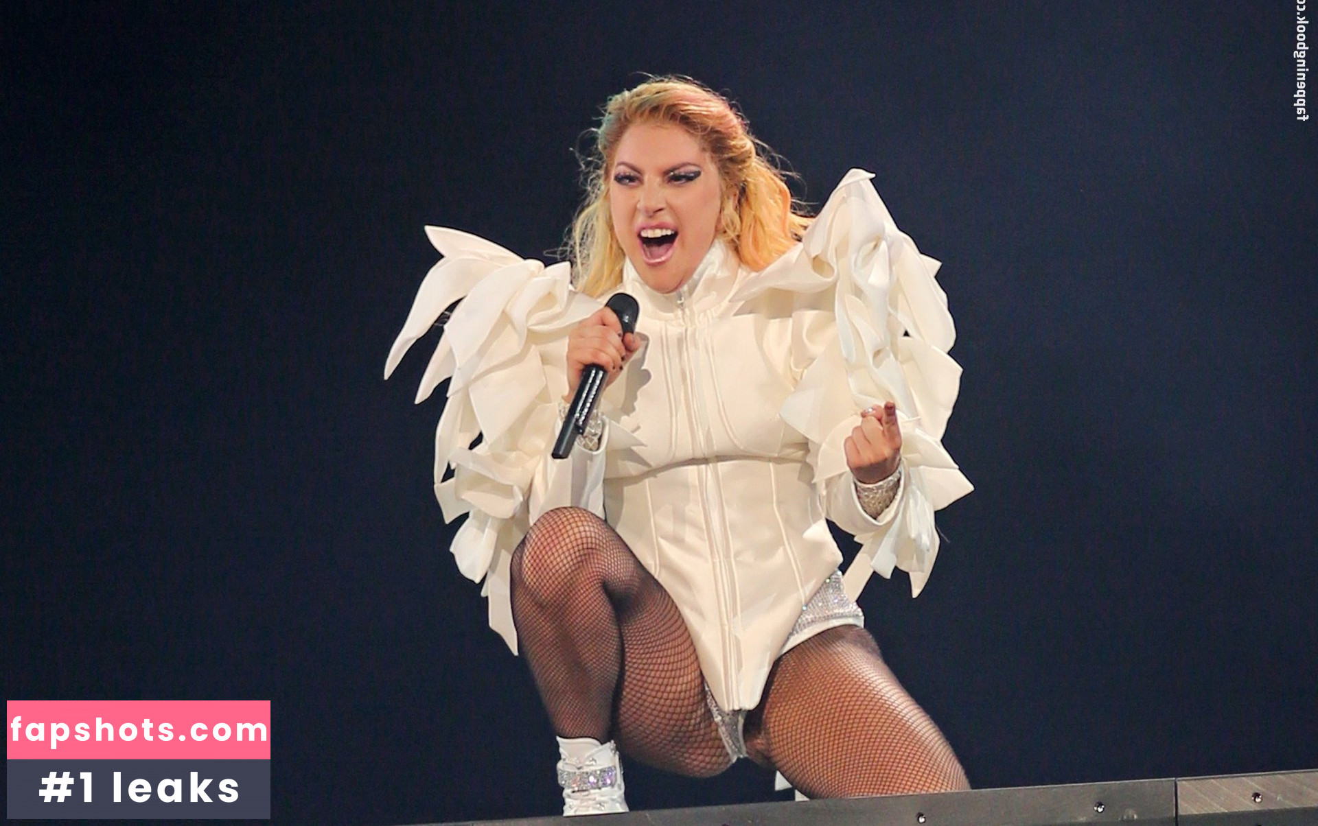 Lady Gaga Nude Leaks OnlyFans Photos #1011 - LeakJerk