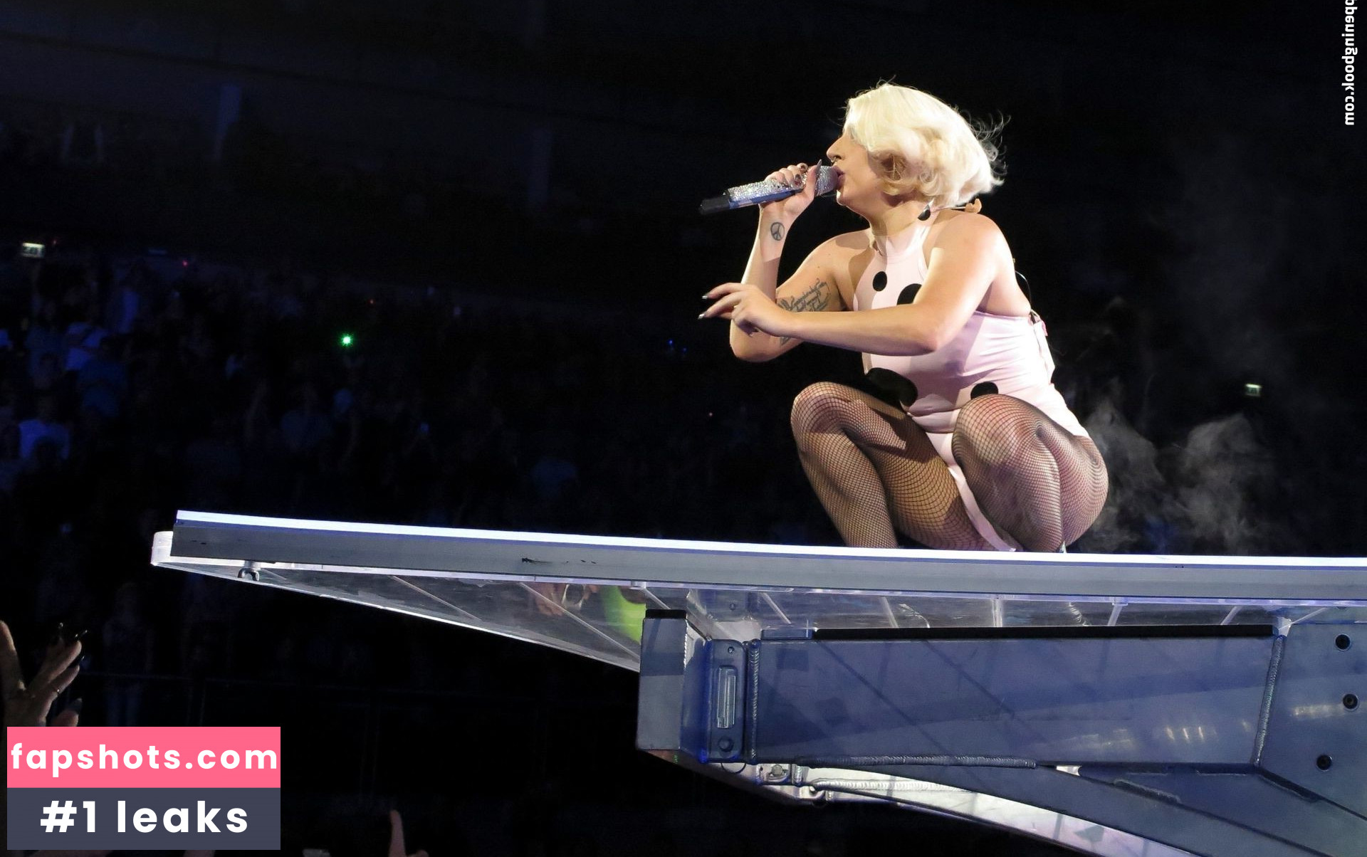 Lady Gaga Nude Leaks OnlyFans Photos #580 - LeakJerk