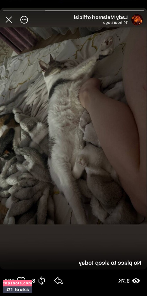 Lady Melamori gallery photo #1699