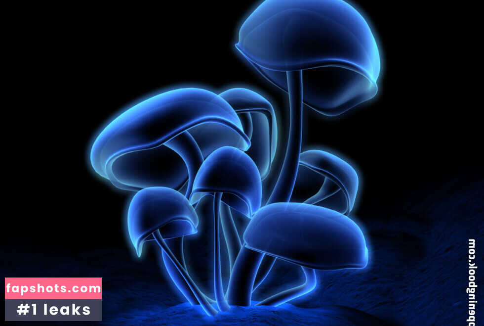 Lainey Hayden gallery photo #3