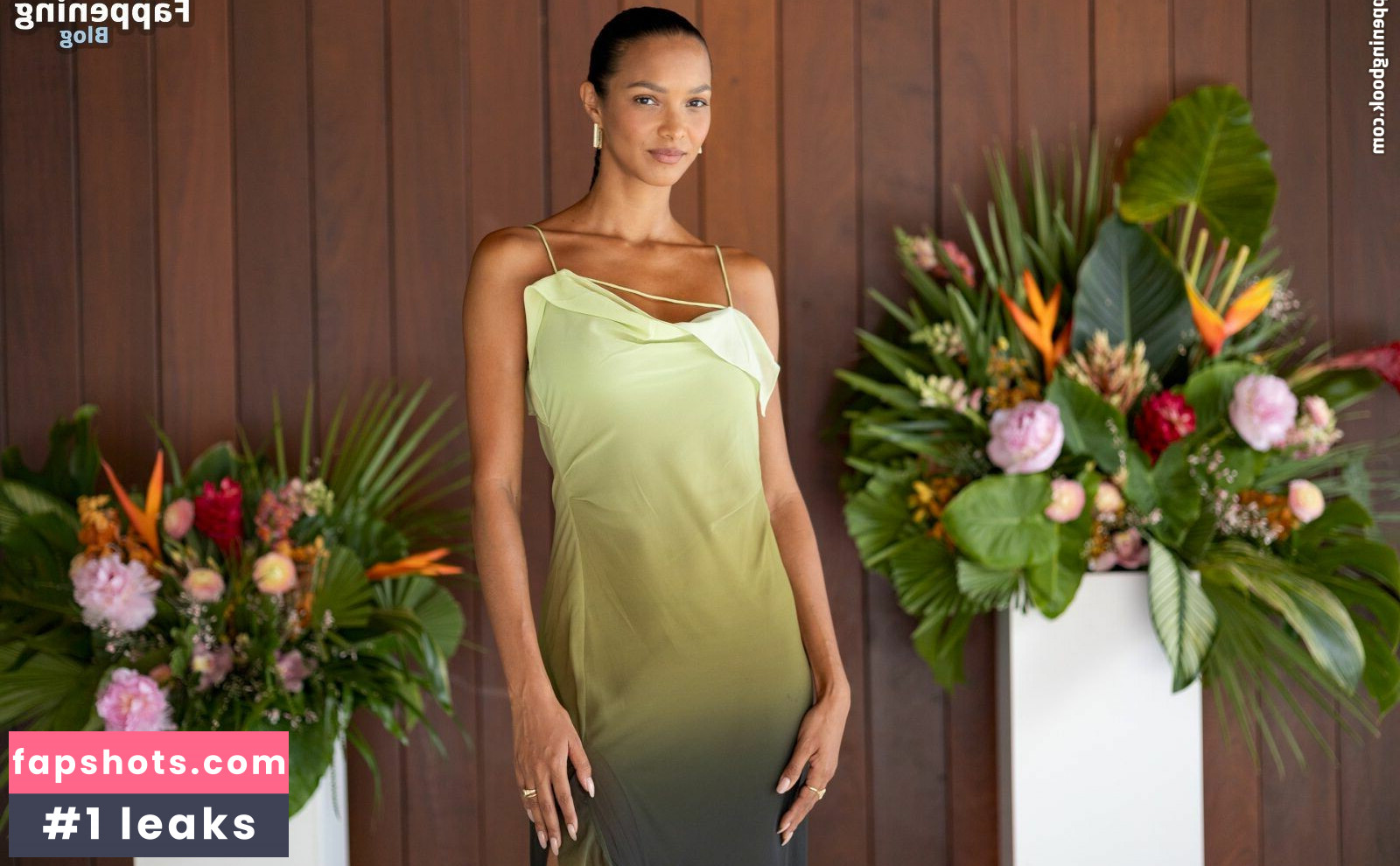 Lais Ribeiro Nude Leaks OnlyFans Photos #165 - LeakJerk