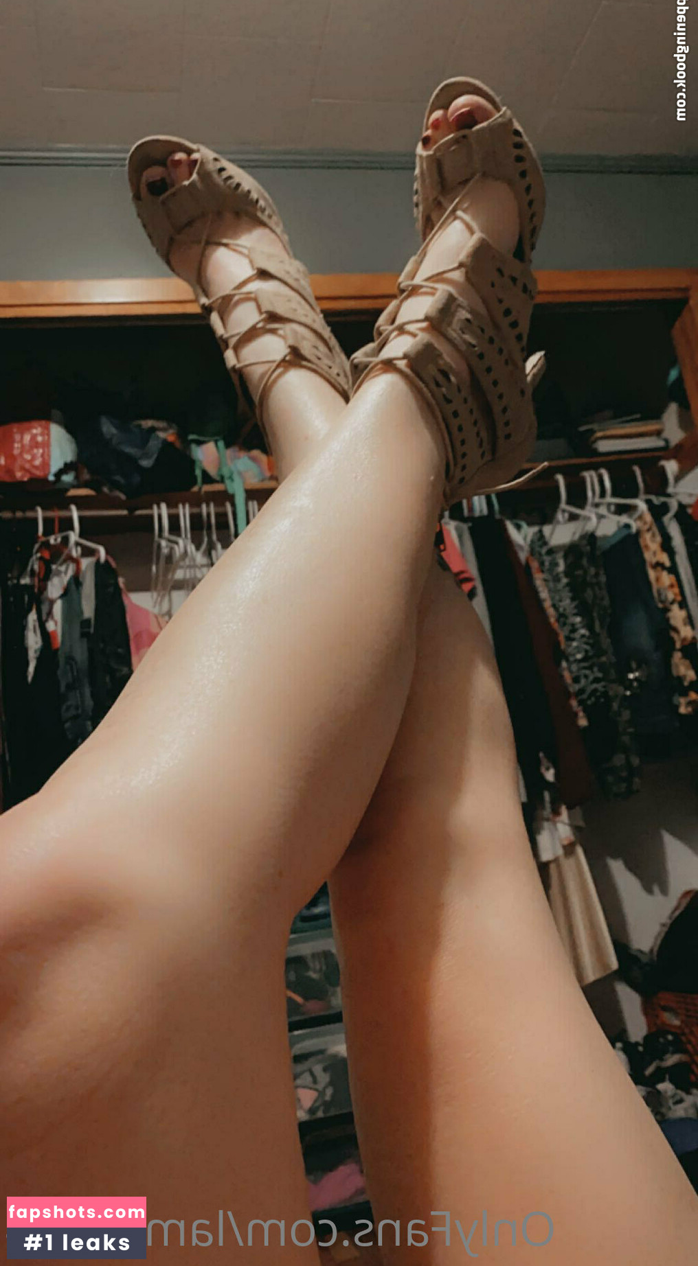 lambo234 gallery photo #10