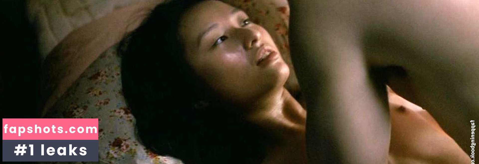 Lang Khe Tran Nahé úniky fotek pouze od fanoušků #13 - Fapshots