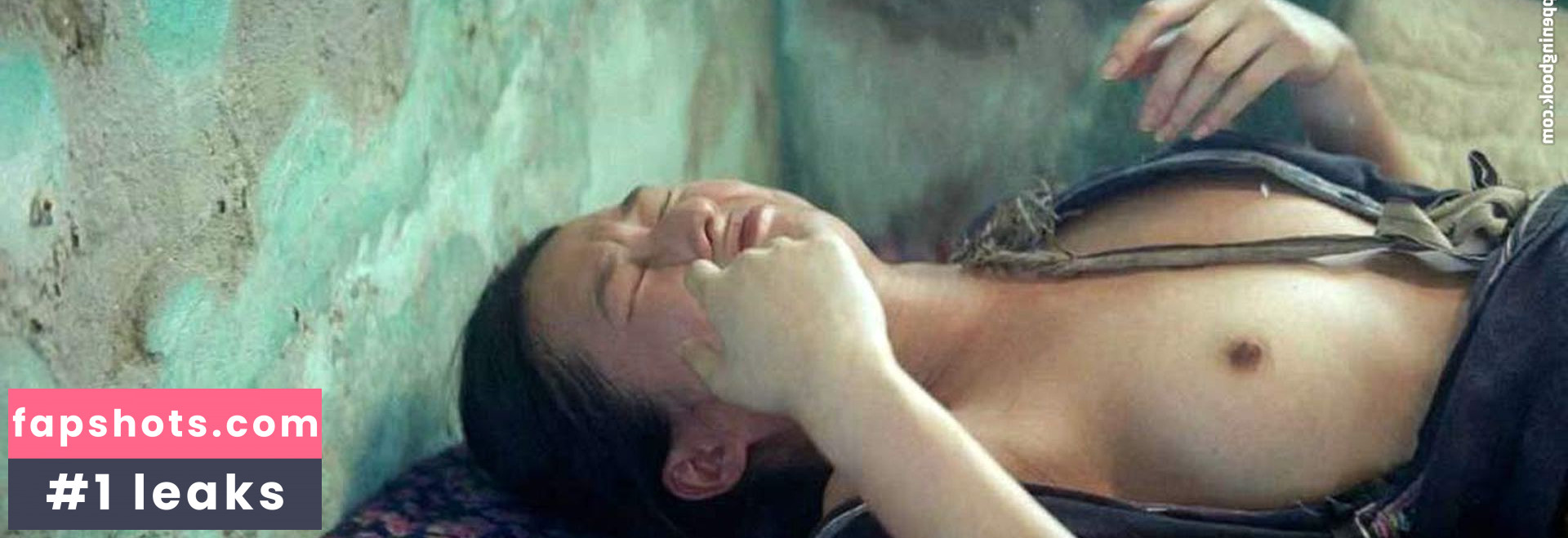 Lang Khe Tran Nahé úniky fotek pouze od fanoušků #6 - Fapshots