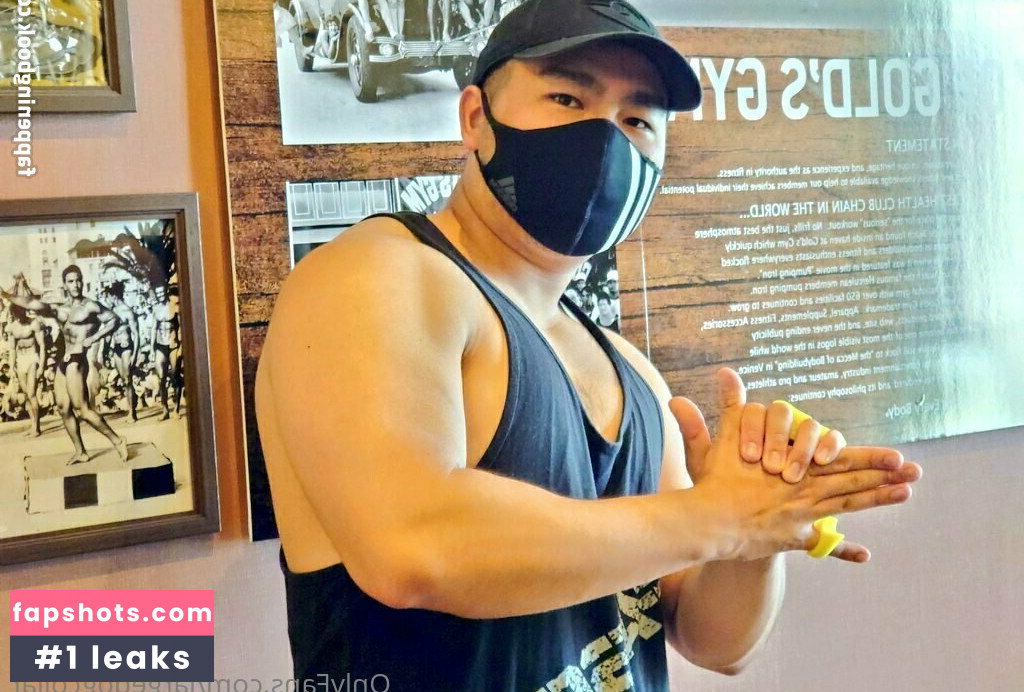 largedogcollar gallery photo #11