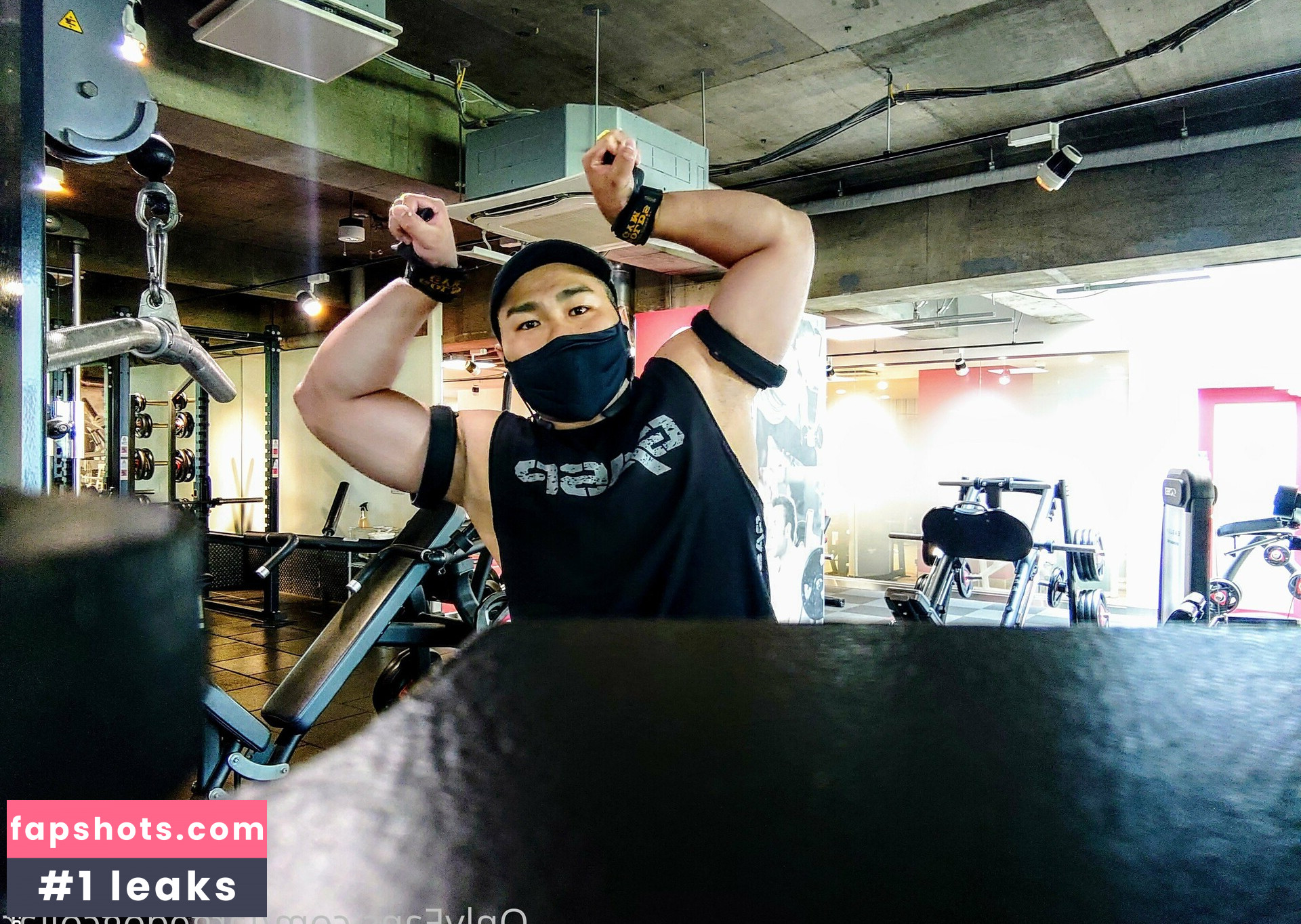 largedogcollar gallery photo #13