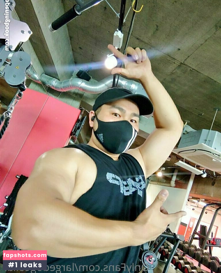 largedogcollar gallery photo #19