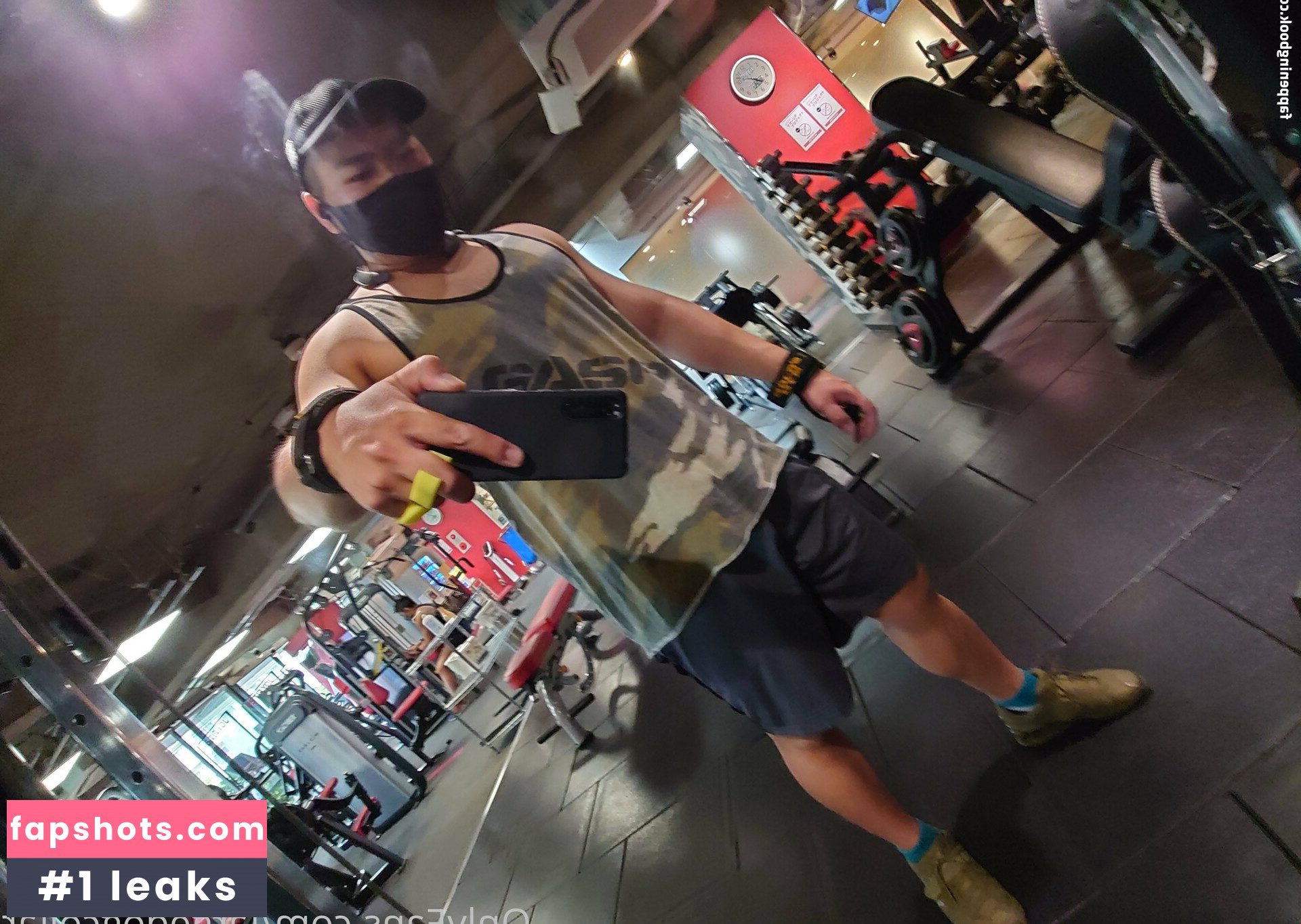 largedogcollar gallery photo #20