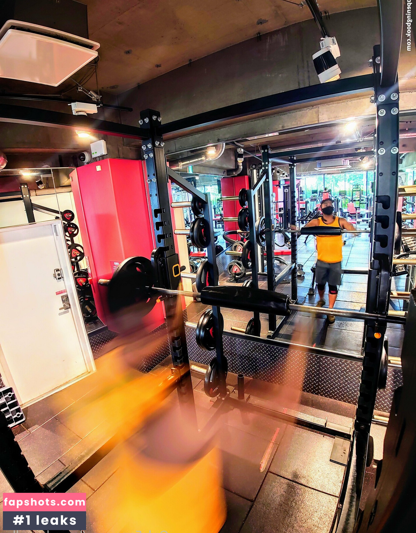 largedogcollar gallery photo #28