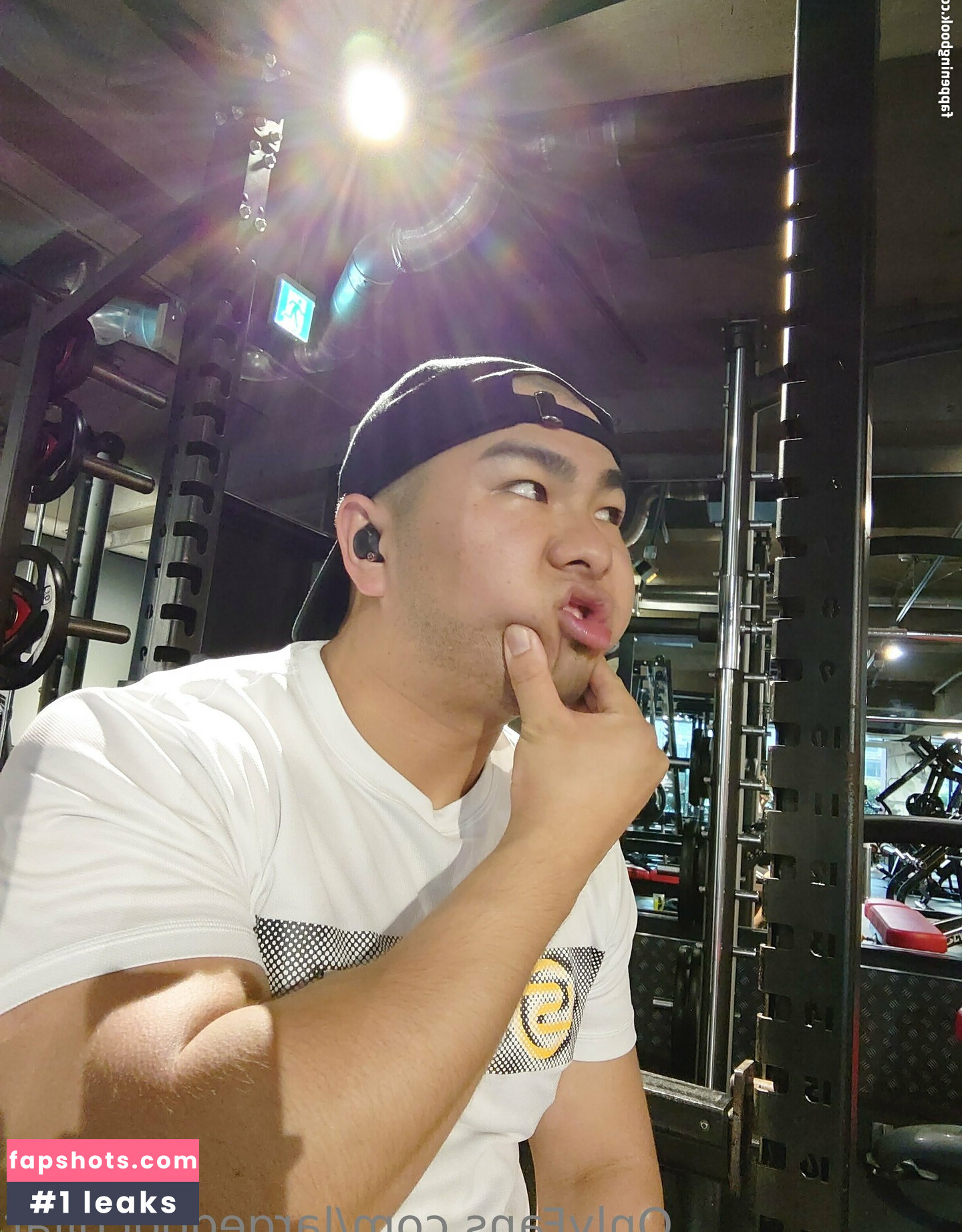 largedogcollar gallery photo #5