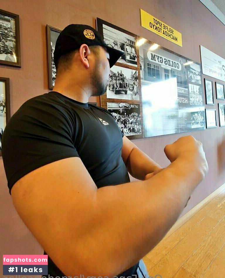 largedogcollar gallery photo #9