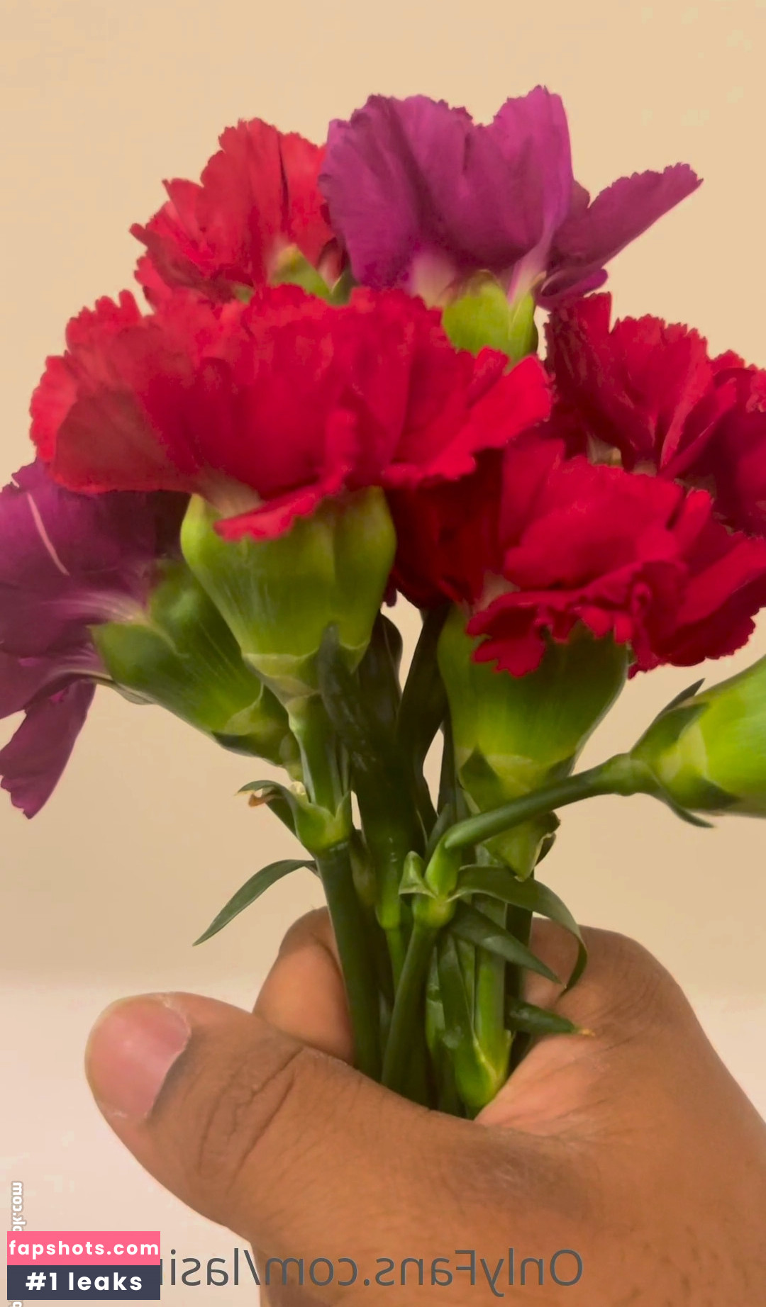 Lasirena69 gallery photo #392