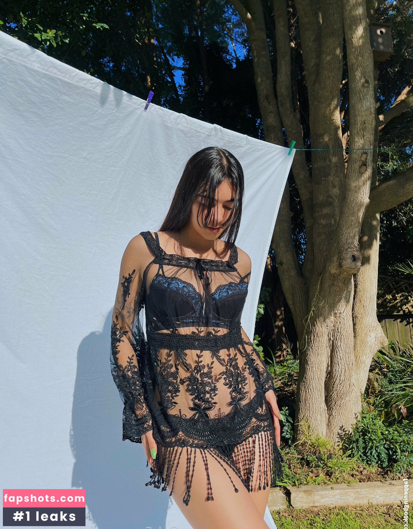 latairepepi gallery photo #25