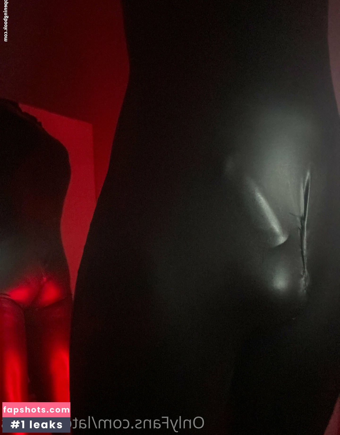 latexdesires Nude Leaks OnlyFans Photos #47 - LeakJerk