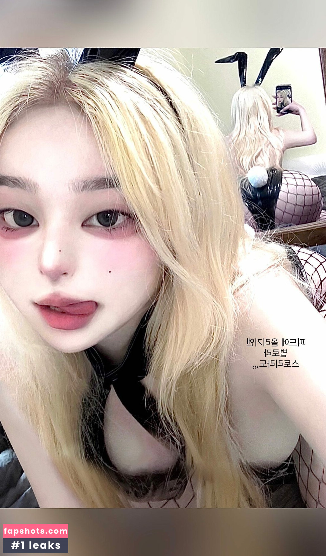 latulip_0 gallery photo #29