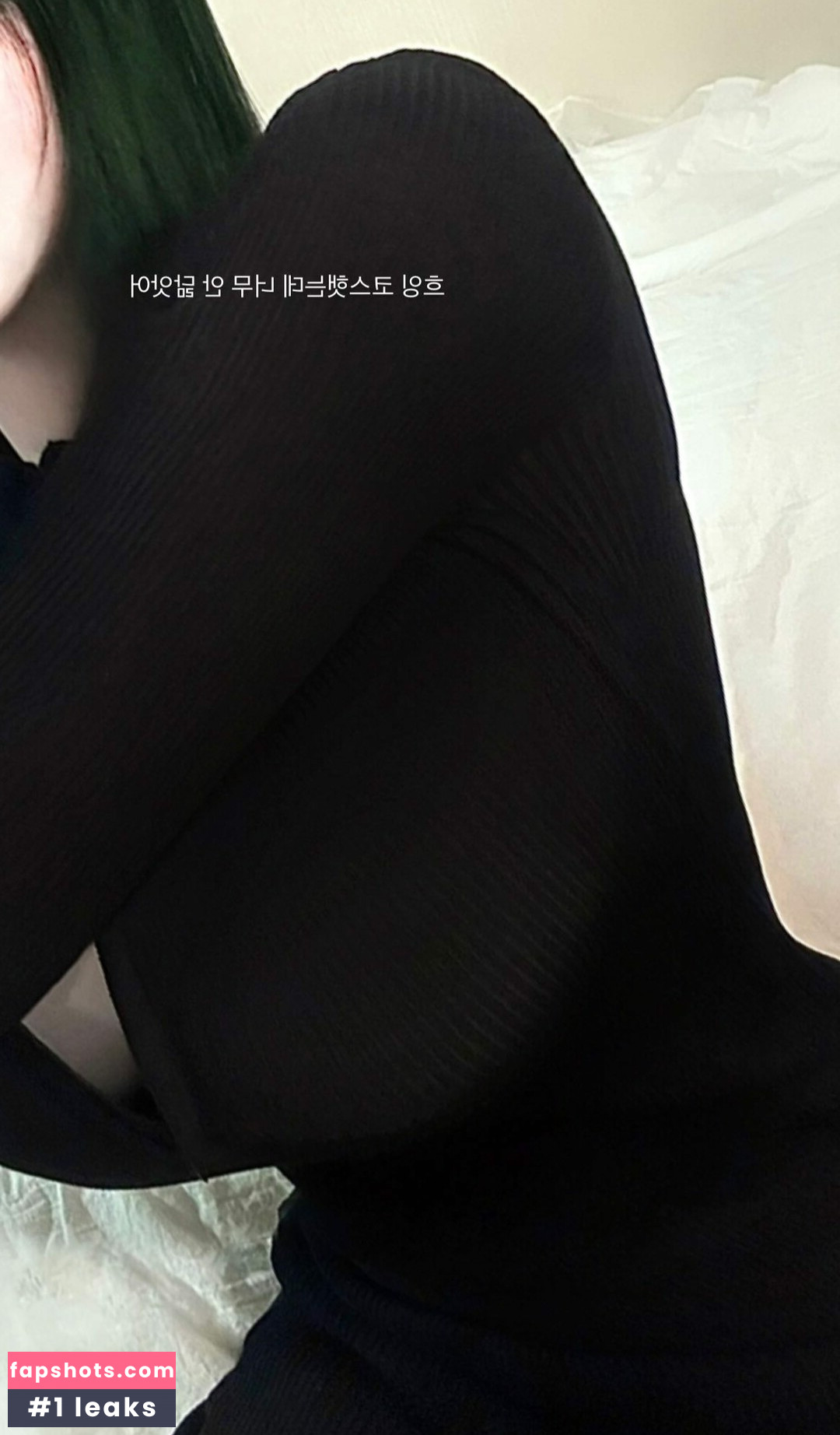 latulip_0 gallery photo #43