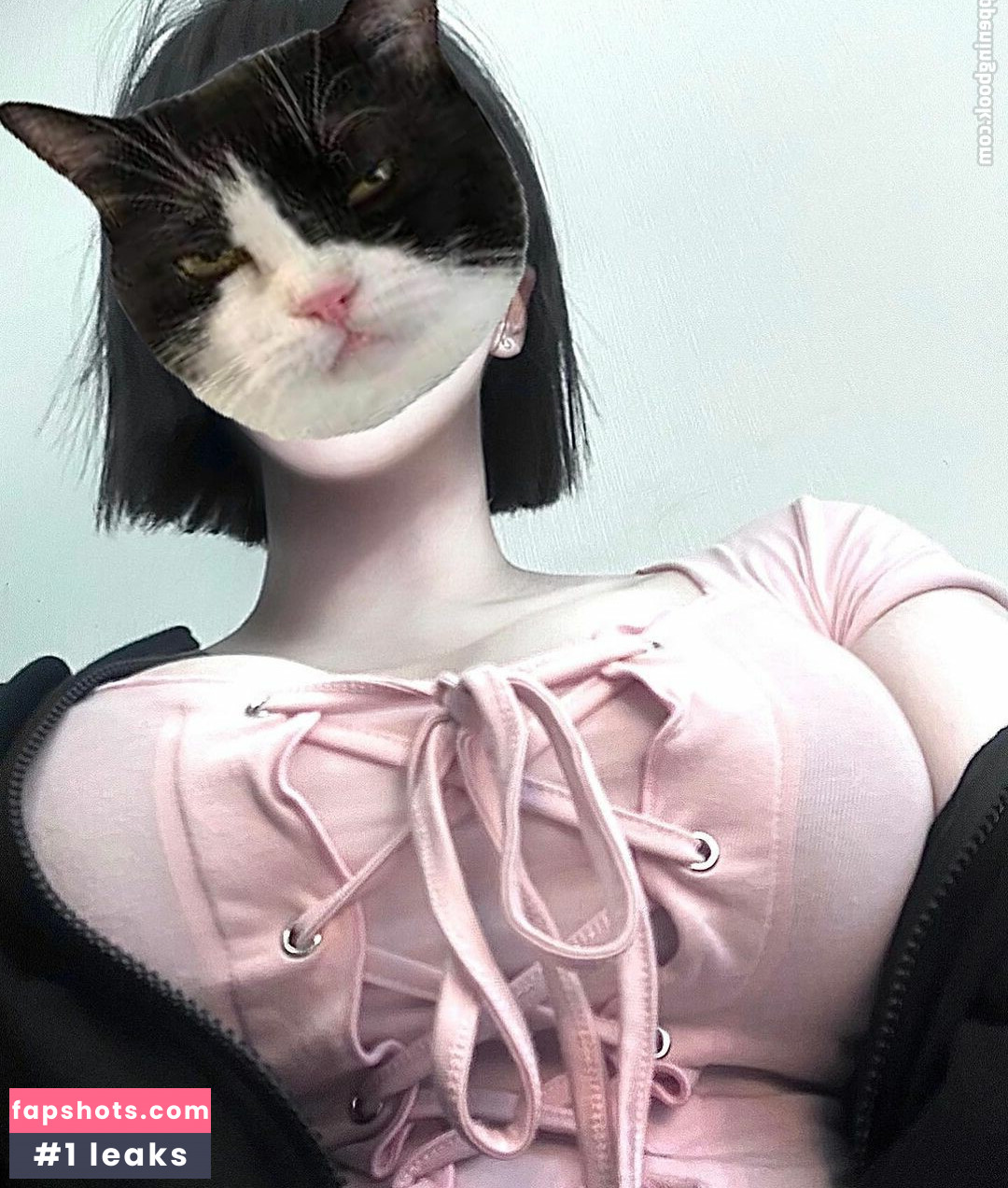 latulip_0 gallery photo #62