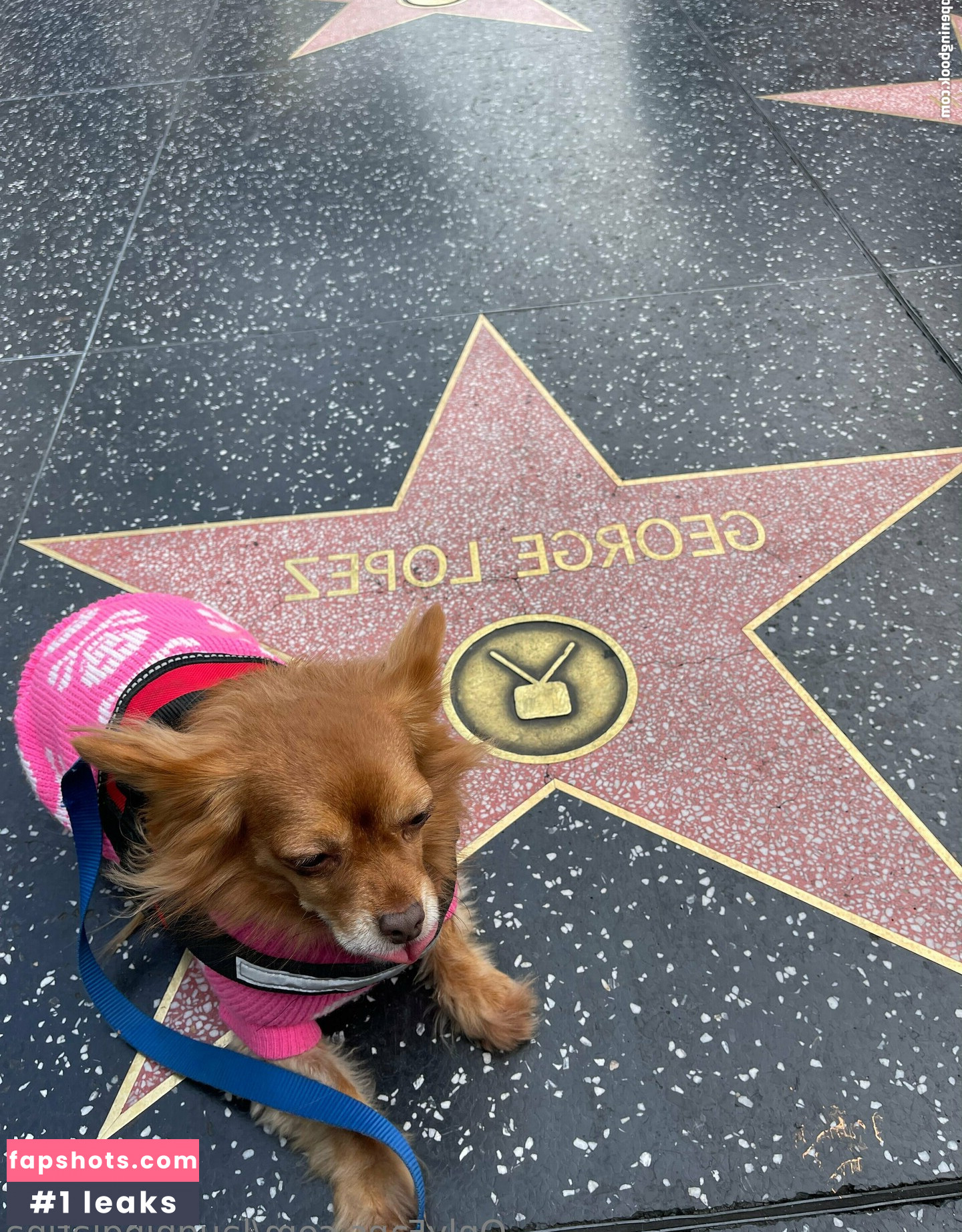 laughinglatina gallery photo #3