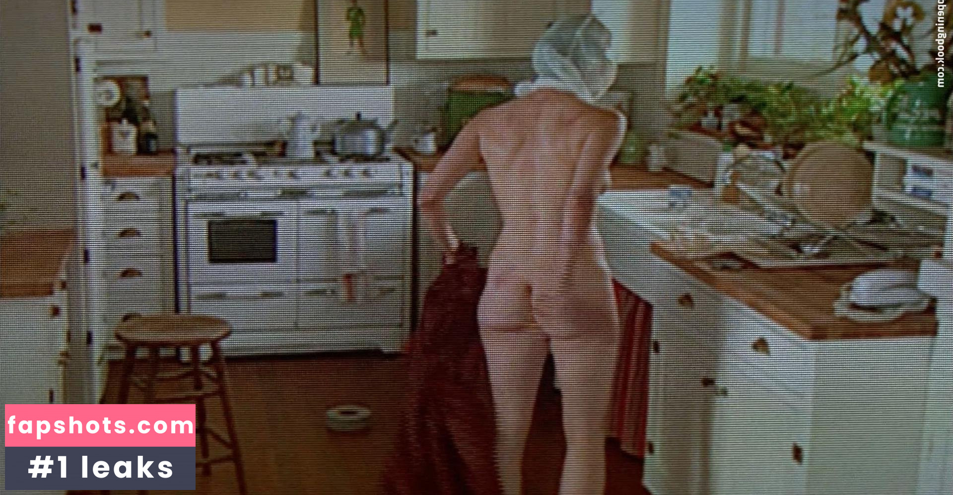 Laura Linney Nahé úniky fotek pouze od fanoušků #28 - Fapshots