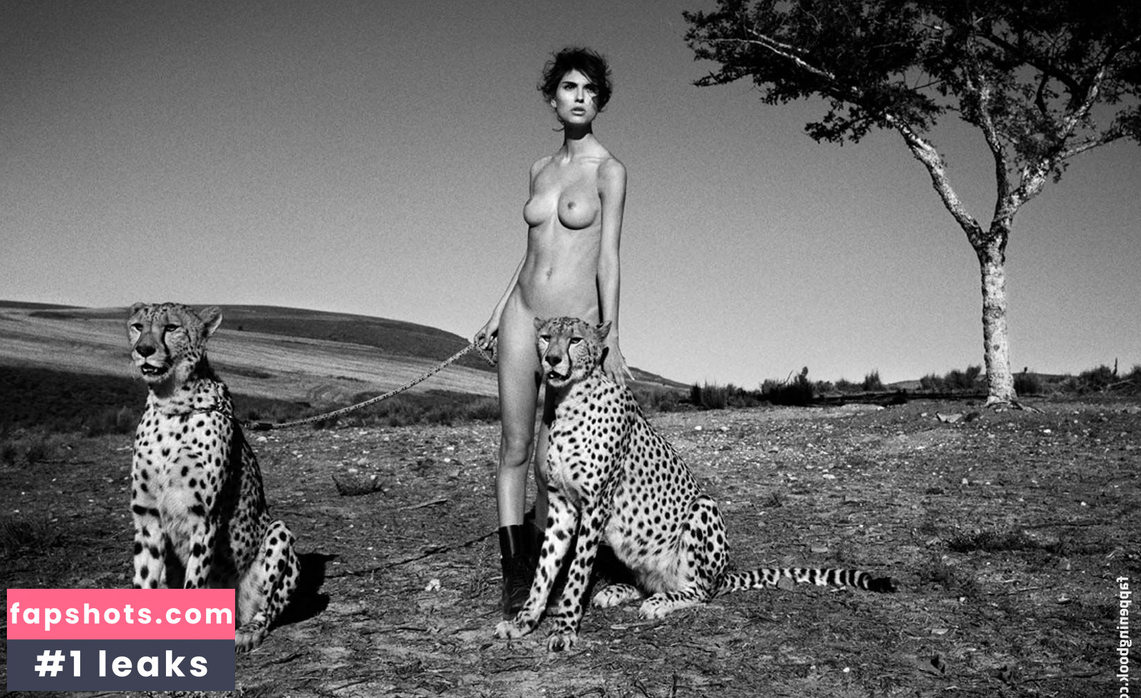 Laura Lundsgaard gallery photo #19