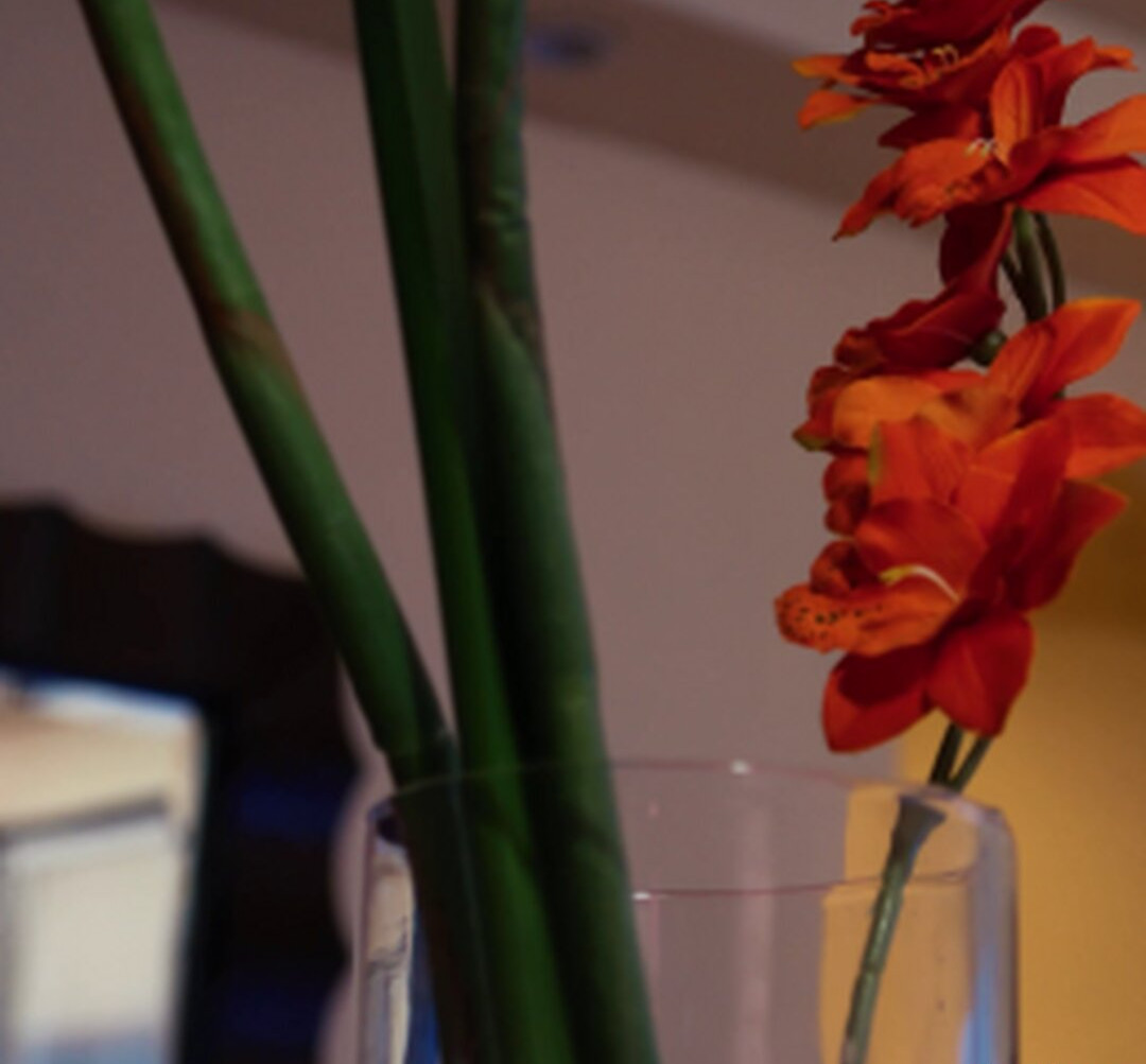 lauren-phillips gallery photo #584