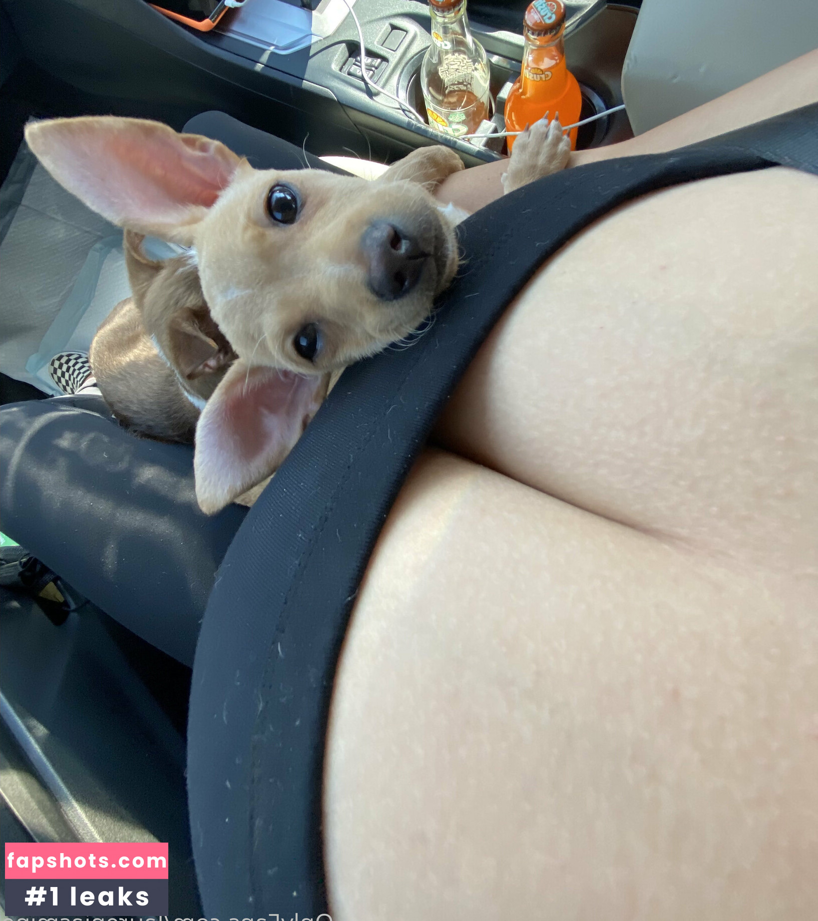 laurenjasmine gallery photo #62