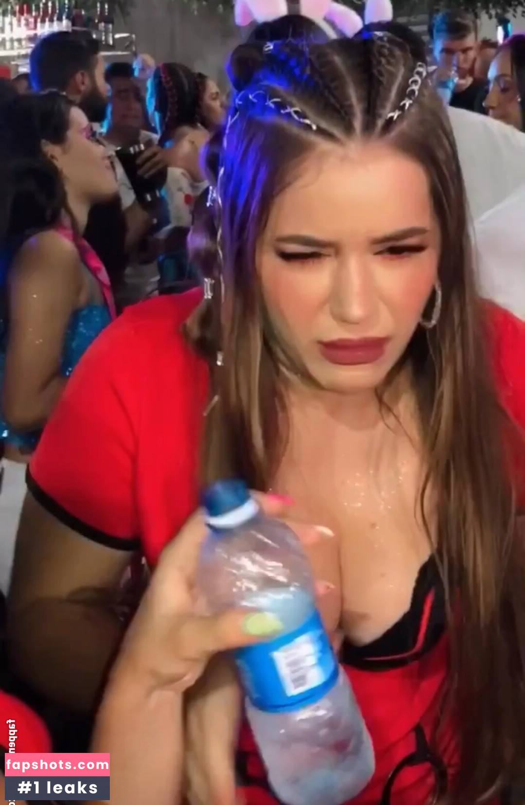 Laurinhafeer gallery photo #55