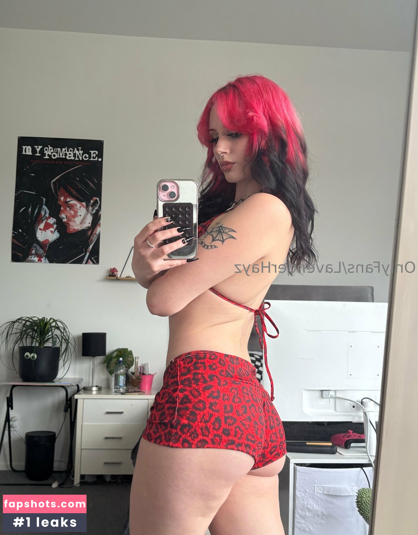 lavenderhayz gallery photo #20