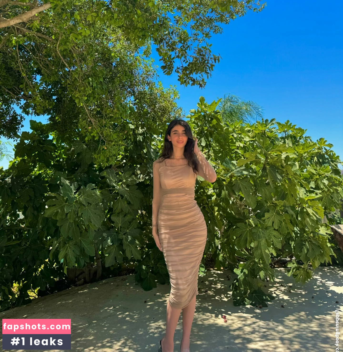 layla_wa Nahé úniky fotek pouze od fanoušků #4 - Fapshots