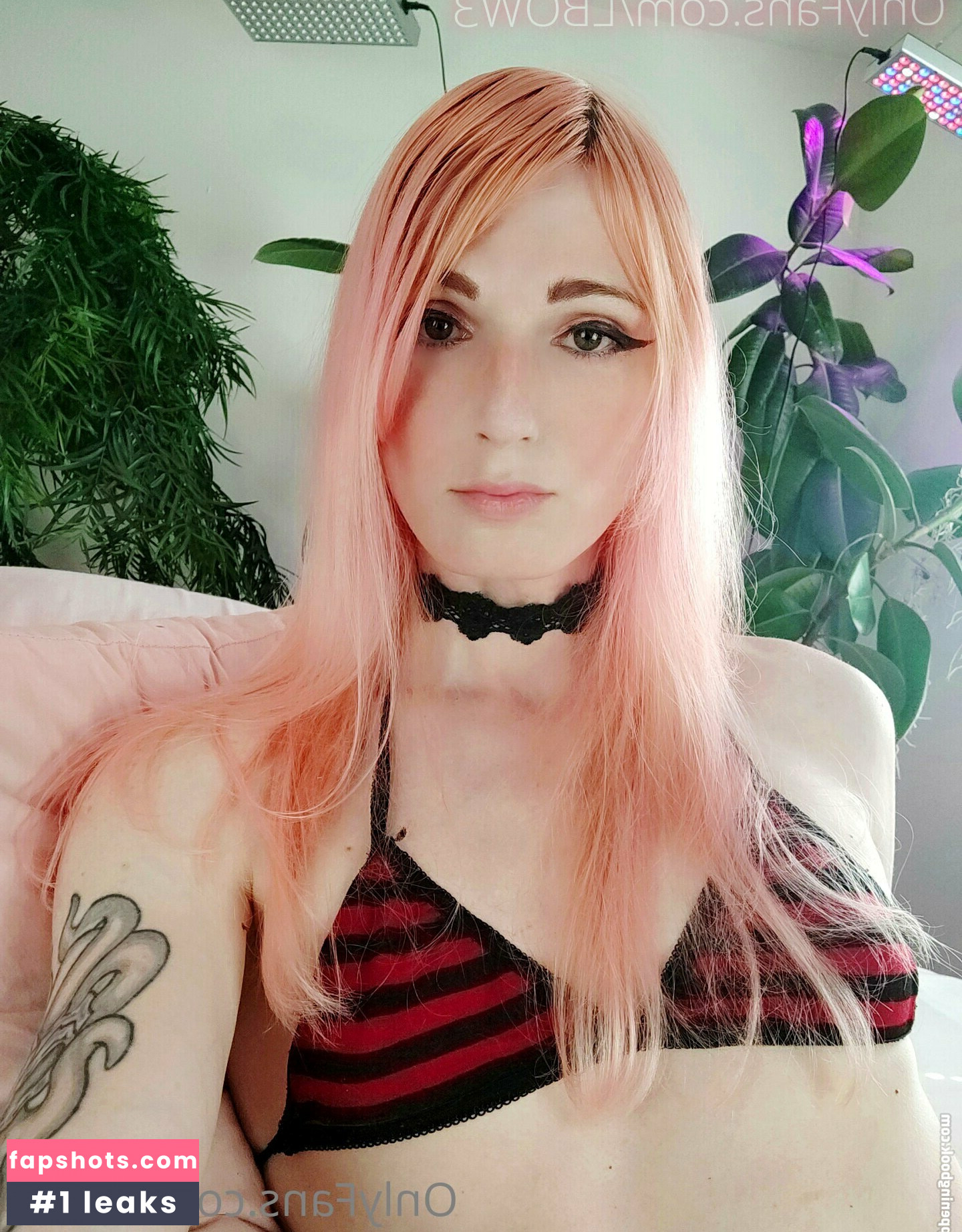 lbow3 gallery photo #8