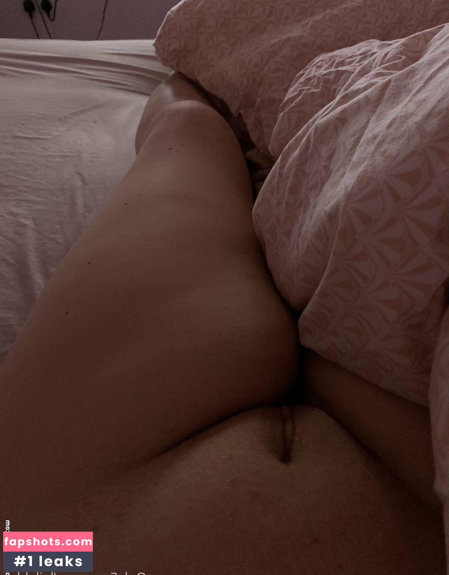 le_jaynes gallery photo #29