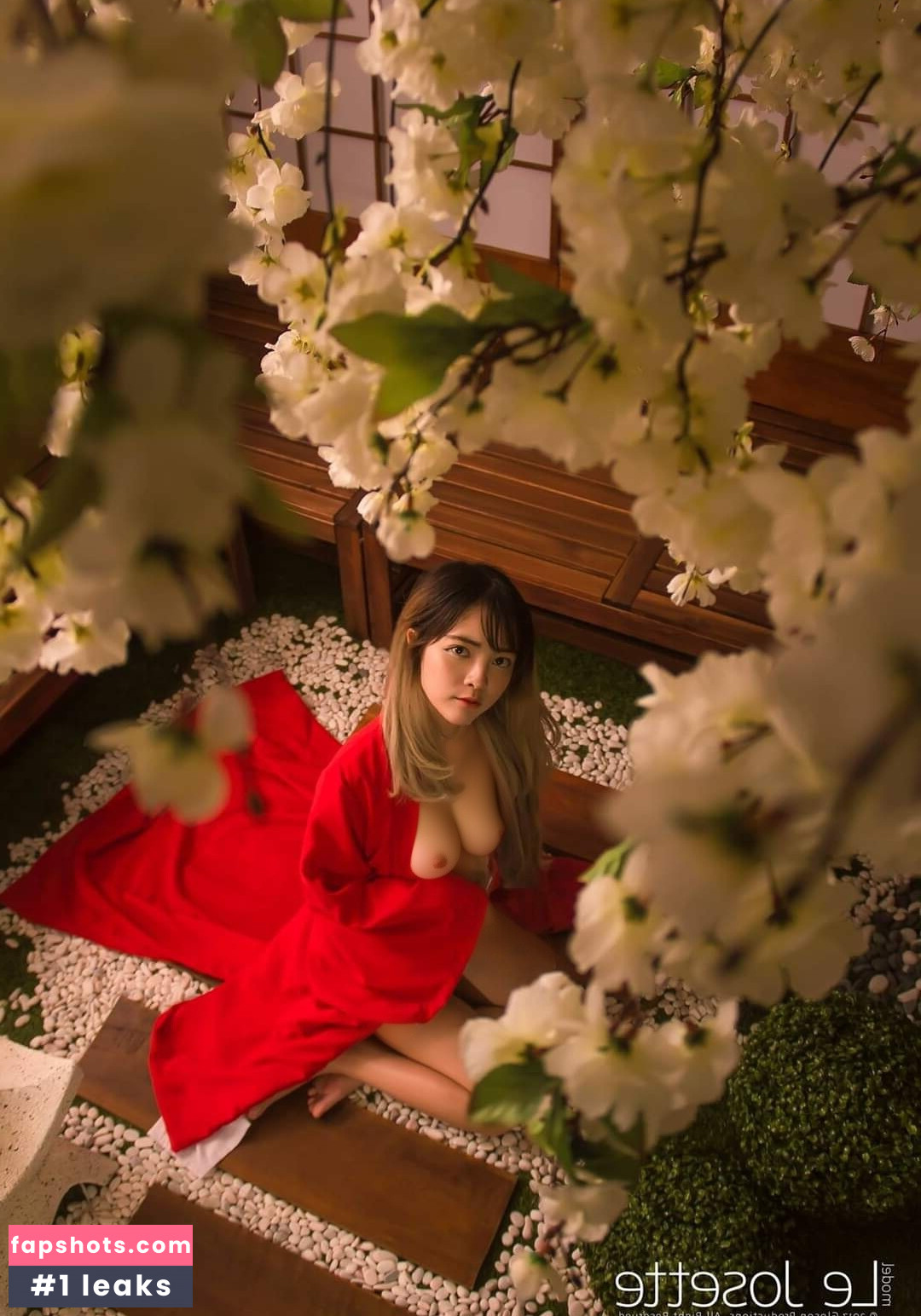 Le Josette gallery photo #58