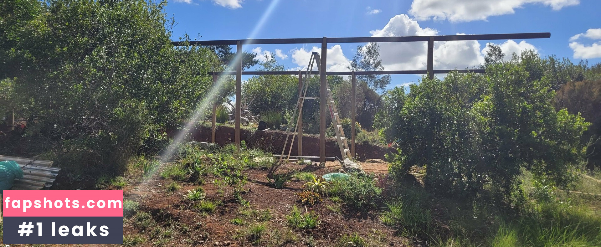 leaandbear gallery photo #18