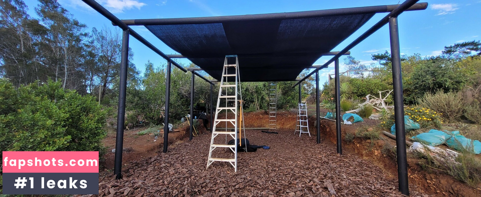 leaandbear gallery photo #5