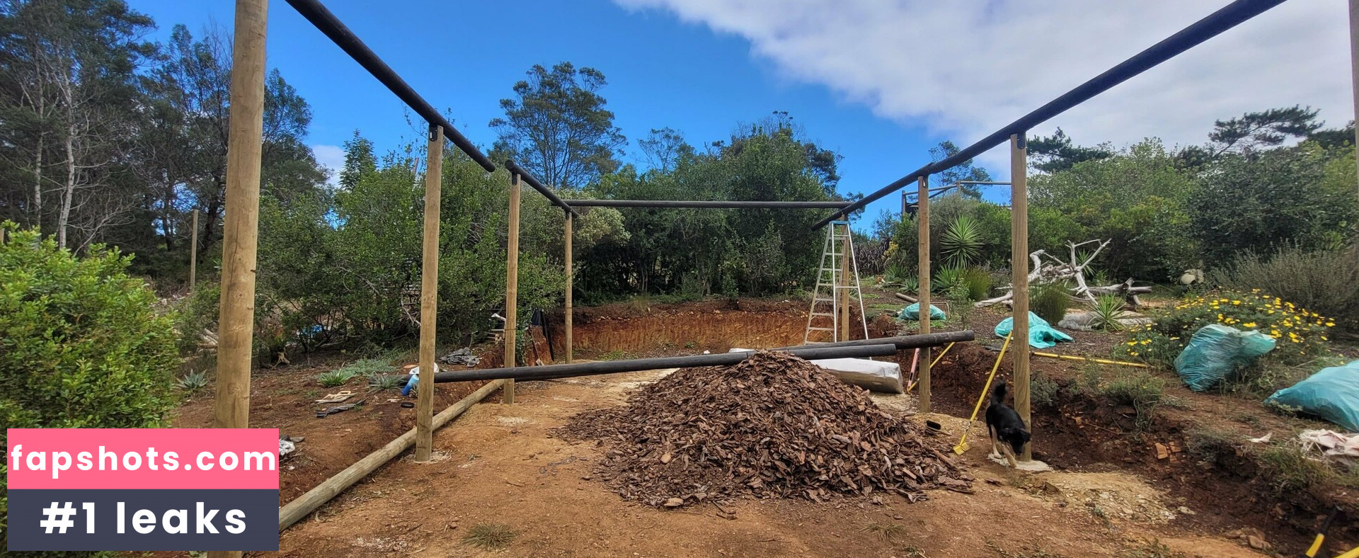 leaandbear gallery photo #6