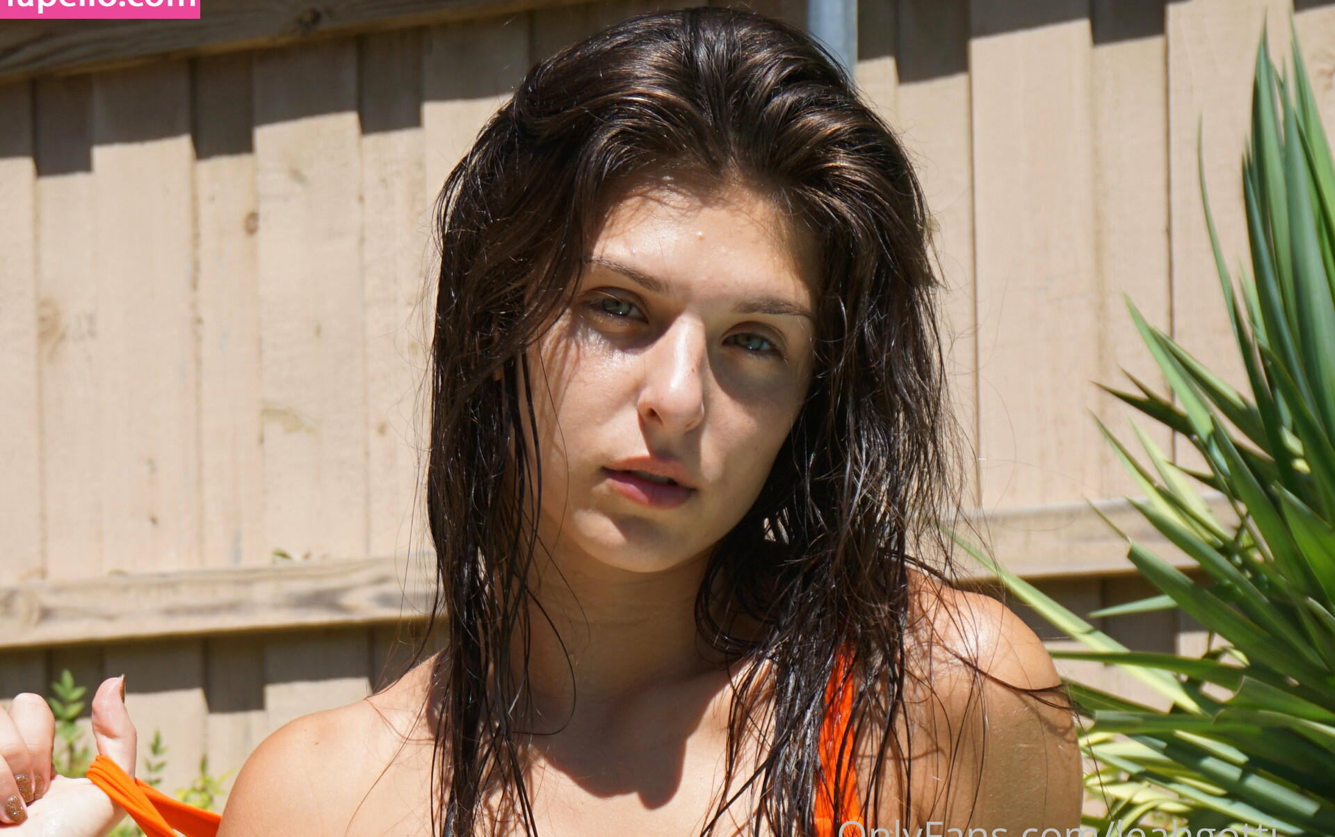 leah-gotti Nacktheit OnlyFans Fotos #1139 - Fapshots