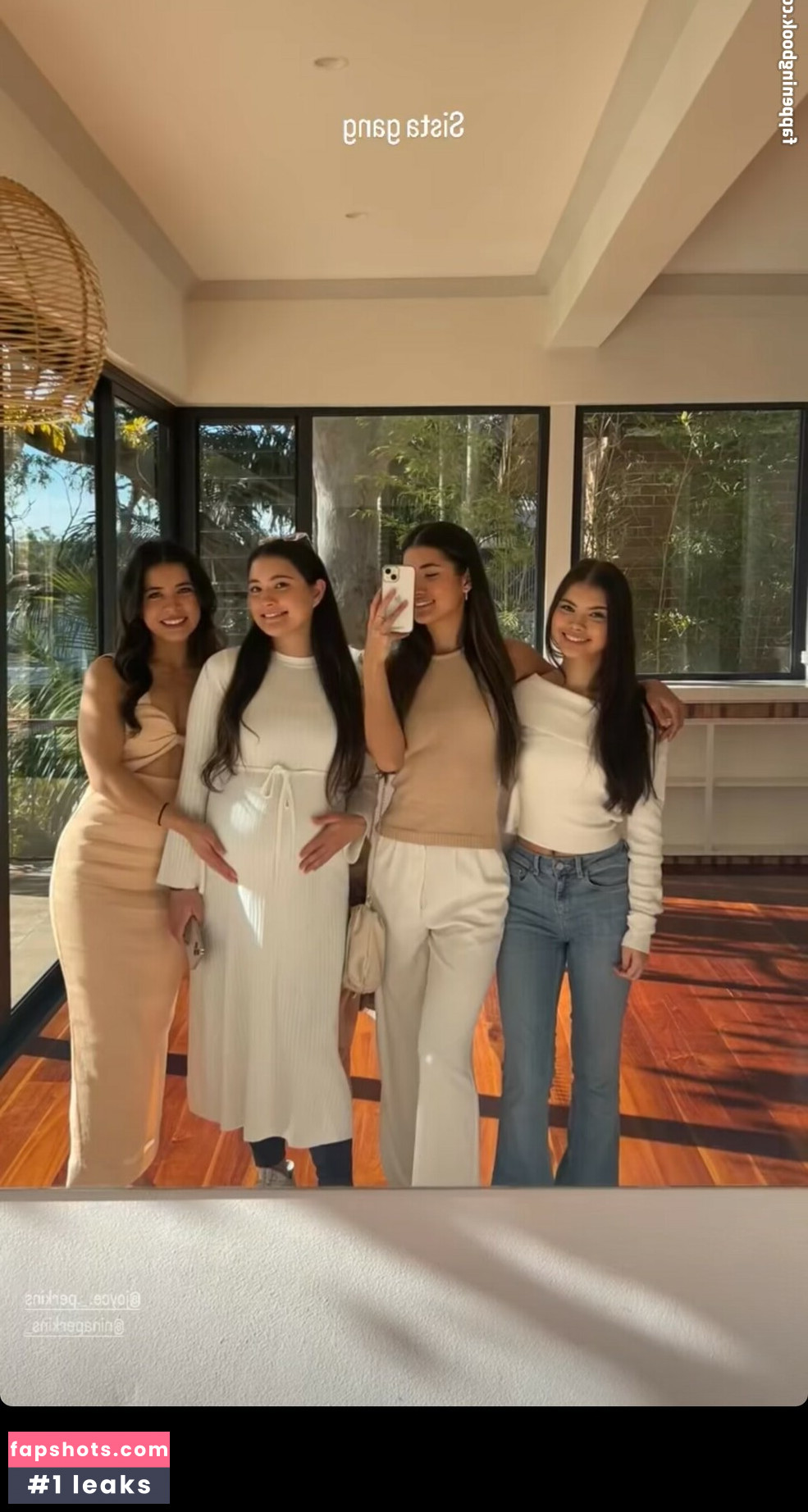 Leah Perkins & Mimi Perkins Nude Leaks OnlyFans Photos #36 - LeakJerk